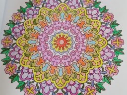 whatsapp bild 2023-07-09 um 19.14.30